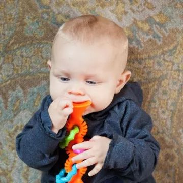 Fat Brain Toys: Bijtring met rammelaar - oranje - .afbeelding