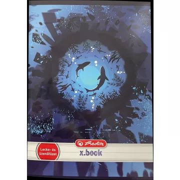 Herlitz: zvezek za lekcije, za fante - različni - .slika