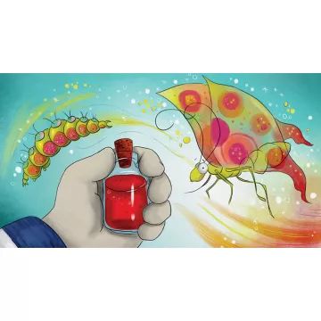 Rumini e le Fabatke in diapositiva - in lingua ungherese - .immagine