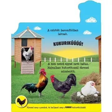 Poslušaj moj glas - knjiga z avdio načinom - madžarski jezik - .slika