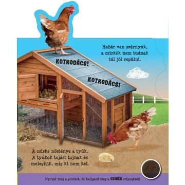 Poslušaj moj glas - knjiga z avdio načinom - madžarski jezik - .slika
