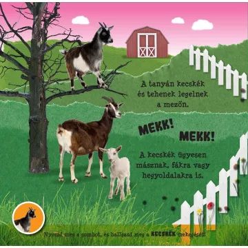Poslušaj moj glas - knjiga z avdio načinom - madžarski jezik - .slika