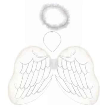 Angelska krila in slava - .slika
