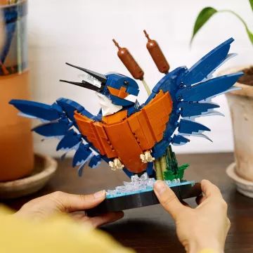 LEGO® Icons IJsvogel bouwset 10331 - .afbeelding