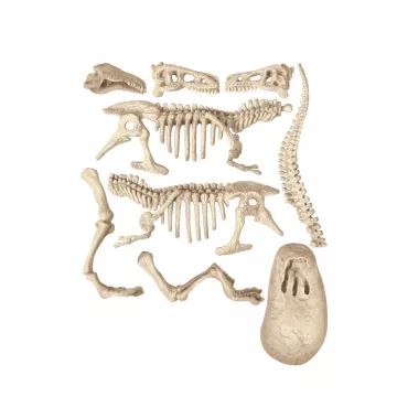 Clementoni: Archeofun - T-Rex die licht geeft - .afbeelding