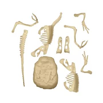 Clementoni: Archeofun - Velociraptor, který svítí - .obrázek