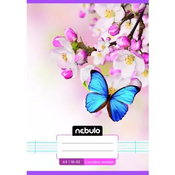 Nebulo: Vonalas füzet színes mintával, 2. osztályos, 16-32, A5 - lányos minták, többféle - . kép