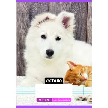 Nebulo: Caiet dictando cu model colorat, clasa a II-a, 16-32, A5 – modele pentru fete, diverse - .foto