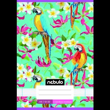 Nebulo: caderno pautado com capa colorida, 3º ano, 12-32, A5 – vários modelos - .Imagem