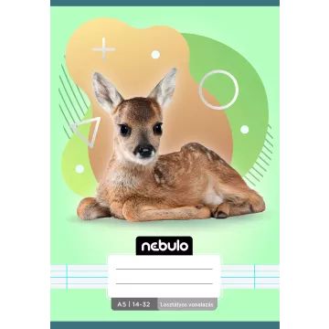 Nebulo: gelinieerd schrift 14-32, A5 - divers - .afbeelding