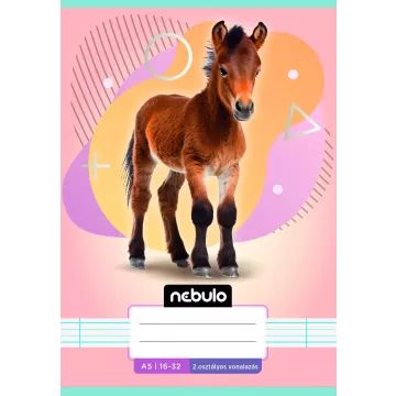 Nebulo: caiet cu linii 16 - 32, A5 - diferite - .foto