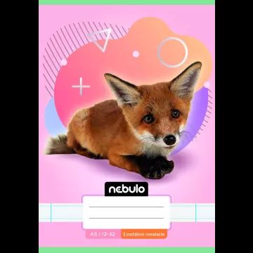Nebulo: Caderno pautado com estampas de animais, 3ª série, 12-32, A5 - várias opções - .Imagem