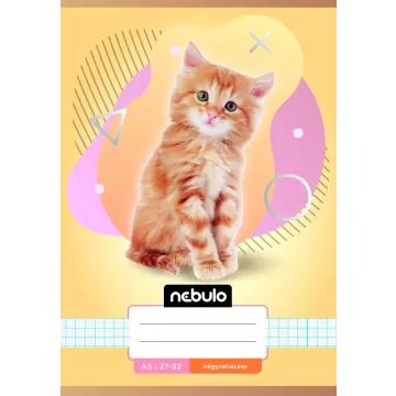 Nebulo: bilježnica s kvadratićima, A5 - razne - .slika