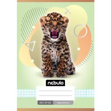 Nebulo: ruitjesschrift, A5 - divers - .afbeelding