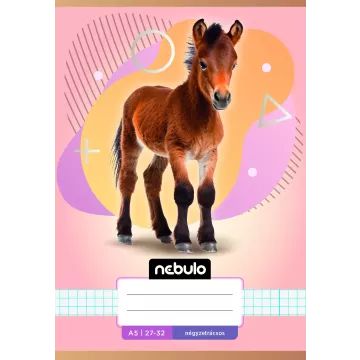 Nebulo: ruitjesschrift, A5 - divers - .afbeelding