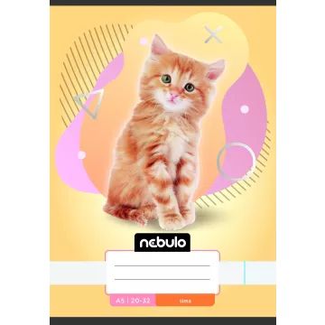 Nebulo: Caiet cu foi veline, A5 - diferite - .foto