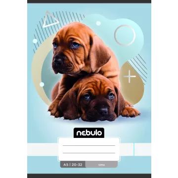 Nebulo: Bilježnica s glatkim stranicama, A5 - različite - .slika