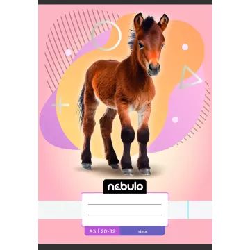 Nebulo: Caiet cu foi veline, A5 - diferite - .foto