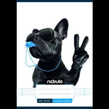 Nebulo: Coole gelinieerde schrift, groep 3, 12-32, A5 - diverse ontwerpen - .afbeelding