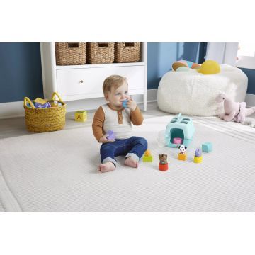 Fisher-Price: Sorter kształtów - .zdjęcie 