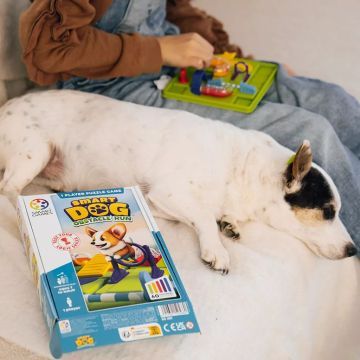 Smart Games: Smart Dog - Kutyaiskola - . kép