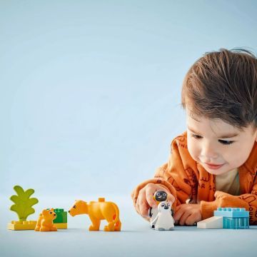 LEGO® DUPLO® Familii de animale sălbatice: Pinguini și lei 10442 - .foto