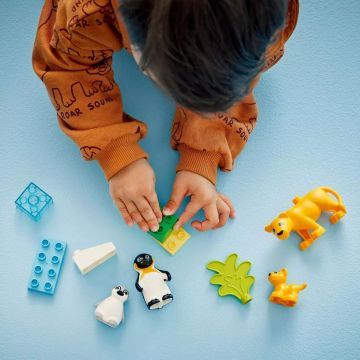 LEGO® DUPLO® Famiglie di animali selvatici: Pinguini e leoni 10442 - .immagine