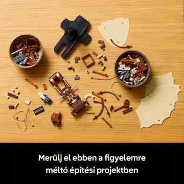 LEGO® Icons Leonardo da Vinci repülő szerkezete 10363 - . kép
