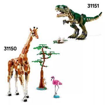 LEGO® Creator 3em1 Dragão Medieval 31161 - .Imagem