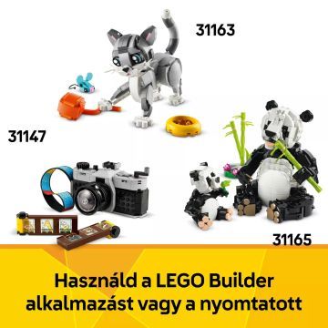 LEGO® Creator 3em1 Máquina de Escrever com Flores 31169 - .Imagem