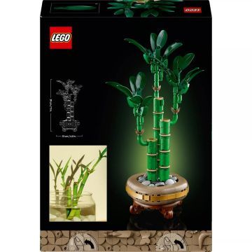 LEGO® Botanicals Laimīgais Bambuss 10344 - .attēls