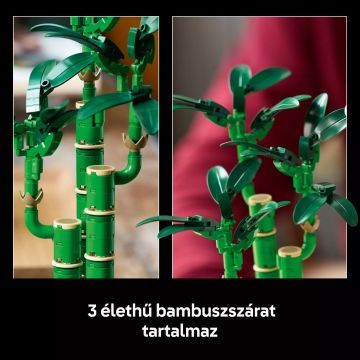 LEGO® Botanicals Laimīgais Bambuss 10344 - .attēls