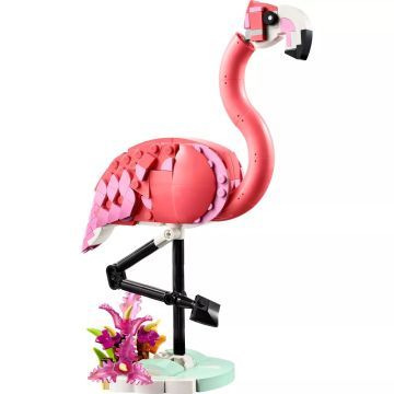 LEGO® Creator 3em1 Animais Selvagens: flamingo rosa 31170 - .Imagem