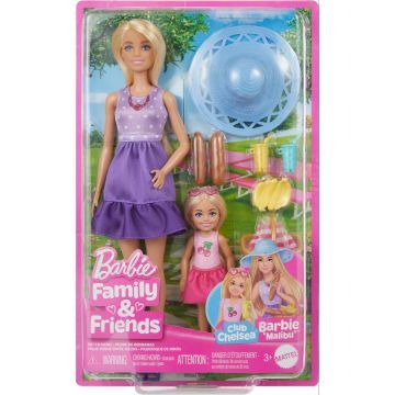 Barbie: Family & Friends, Barbie és Chelsea játékkészlet - . kép