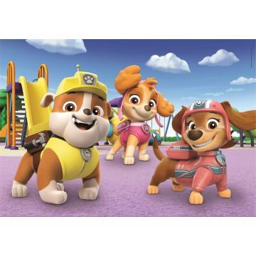 Clementoni: SuperColor Paw Patrol - 2 x 20 stukjes puzzel - .afbeelding
