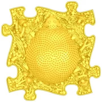 Muffik: Сензорен ортопедичен килим комплект - Дъга, 8 части - . изображение