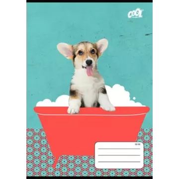 Бат: Линирана тетрадка A5, 2-ри клас - 16-32 - различни видове - . изображение