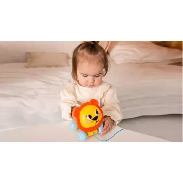Kids Hits: Leu multifuncțional de împins - .foto