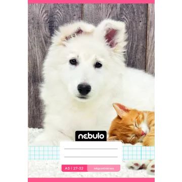 Quaderno a quadretti con motivi carini - A5, vari modelli - .immagine