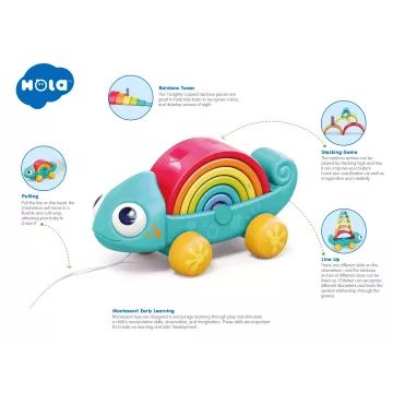 Montessori-Spielzeug für Babys - Chamäleon - . bild aus