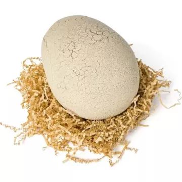 Primal Hatch Interactieve T-Rex dinosaurus in ei - .afbeelding