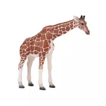 Mojo: Giraffa femmina - figura dipinta a mano - .immagine