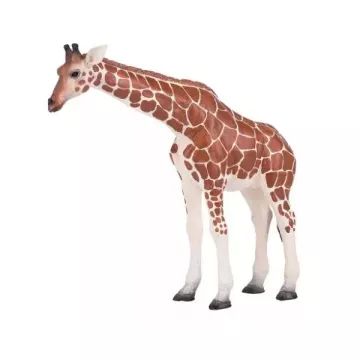 Mojo: Giraffa femmina - figura dipinta a mano - .immagine