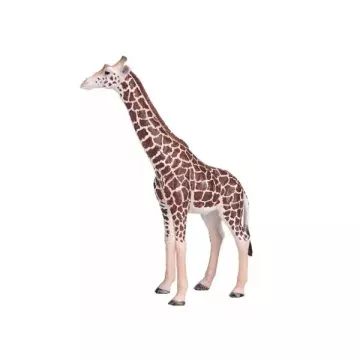 Mojo: Giraffí samec - ručně malovaná figurka - .obrázek