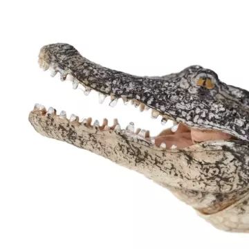 Mojo: Alligator mit beweglichem Kiefer - handbemalte Figur - . bild aus