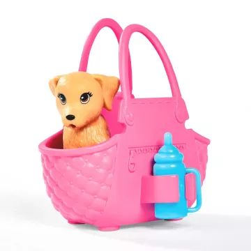 Steffi Love: Set da gioco Passeggiata con il cagnolino - .immagine