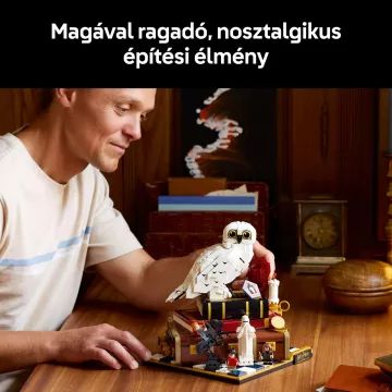 LEGO® Harry Potter en de Steen der Wijzen - Collectors Editie 76466 - .afbeelding
