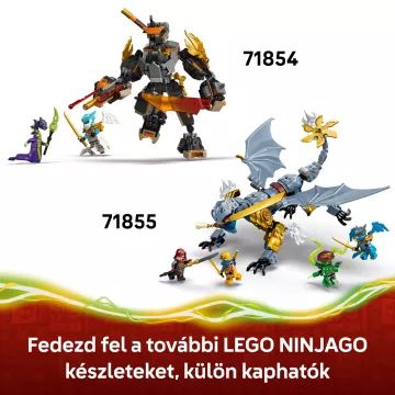 Robotul de acțiune LEGO® NINJAGO® Cole și Dragonul Zane 71854 - .foto