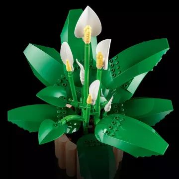 LEGO® Botanicals Spathiphyllum 11504 - .immagine