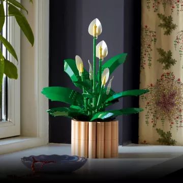 LEGO® Botanicals Spathiphyllum 11504 - .immagine